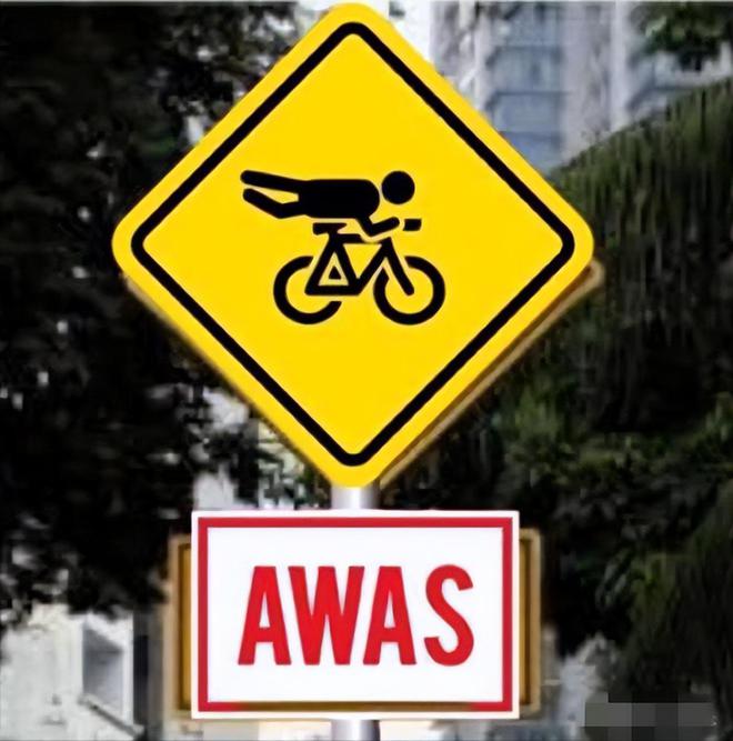 马来西亚自行车｜产业乐鱼(中国)体育观察｜自行车类型声量占比（东南亚、运动）(图2)