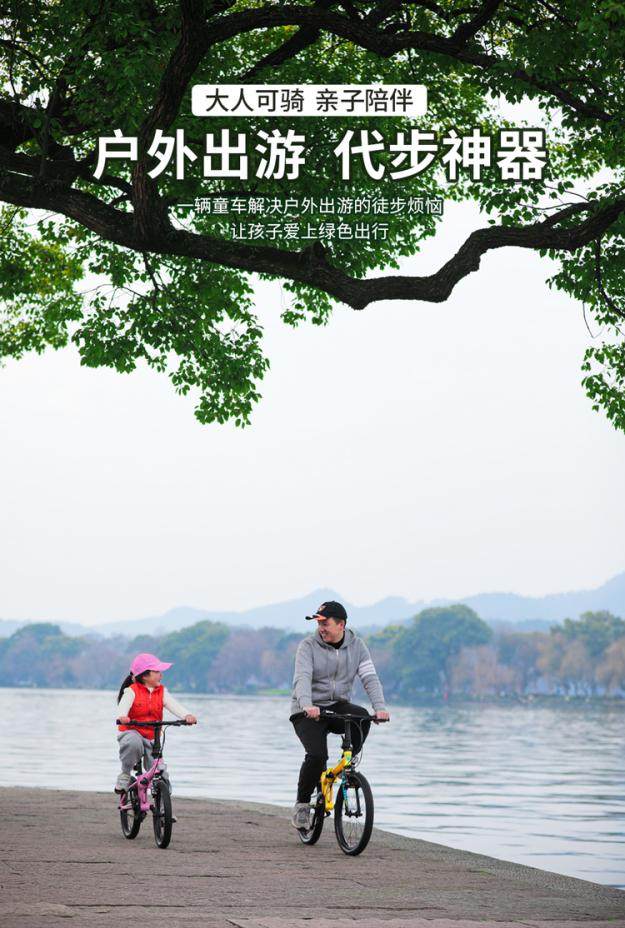 leyu·乐鱼(中国)体育官方网站2023儿童自行车Top推荐sooibe书比0(图2)